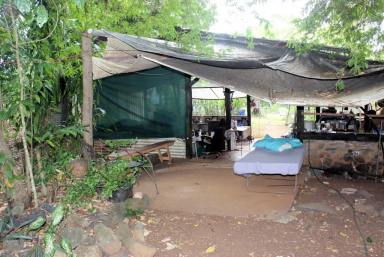 House For Sale - QLD - Cooktown - 4895 - Rainforest and River Frontage Retreat with Huge Potential  (Image 2)