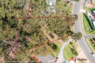 Residential Block For Sale - NSW - Long Beach - 2536 - 1007m2 building block in Long Beach ! (Image 2)