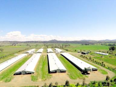 Other (Rural) For Sale - NSW - Somerton - 2340 - Poultry Production Enterprise  (Image 2)