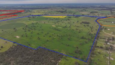 Mixed Farming For Sale - SA - Naracoorte - 5271 - Karatta/Cadgee Property Portfolio (Image 2)