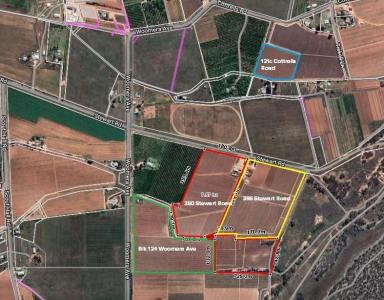 Horticulture For Sale - VIC - Red Cliffs - 3496 - Top Class Table Grape Property - 23.98Ha (59.25acres)  (Image 2)