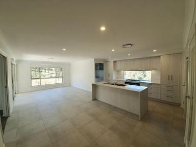 House Sold - NSW - Muswellbrook - 2333 - A COMPLETE BRAND NEW 5 B/R HOUSE AND ACRES OVER LOOKING THE VALLEY AND READY TO OCCUPY!  (Image 2)