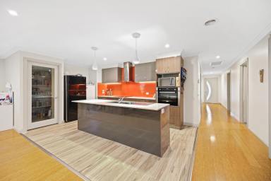 House Sold - VIC - Darnum - 3822 - Modern Quality Home Darnum  (Image 2)
