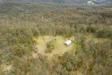 Other (Rural) For Sale - NSW - Stroud - 2425 - 302 acres of Uninterrupted Views & Unlimited Potential  (Image 2)