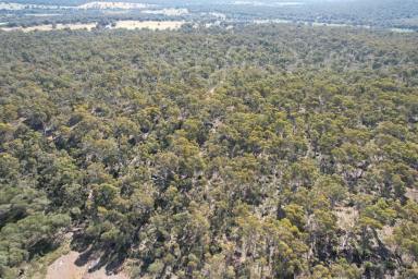 Other (Rural) For Sale - WA - Bakers Hill - 6562 - MAGNIFICENT VIRGIN BLOCK                                             289.53HA (715.13ACRES)  (Image 2)