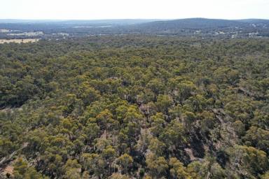 Other (Rural) For Sale - WA - Bakers Hill - 6562 - MAGNIFICENT VIRGIN BLOCK                                             289.53HA (715.13ACRES)  (Image 2)