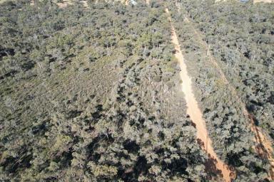 Other (Rural) For Sale - WA - Bakers Hill - 6562 - MAGNIFICENT VIRGIN BLOCK                                             289.53HA (715.13ACRES)  (Image 2)