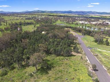Residential Block For Sale - NSW - Quirindi - 2343 - LARGE PARCEL - AMAZING VIEWS  (Image 2)