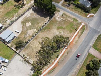 Residential Block For Sale - NSW - Barham - 2732 - Large residential block  (Image 2)