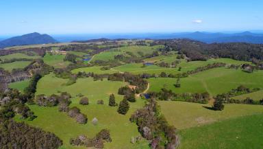 Dairy Sold - NSW - Dorrigo - 2453 - An established and proven dairy in one of Australia's most liveable, productive and picturesque regions  (Image 2)