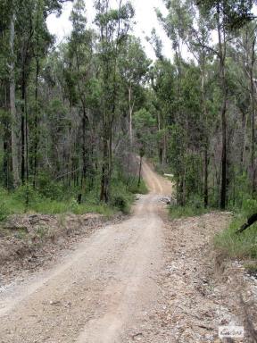 Lifestyle For Sale - NSW - Nymboida - 2460 - 300 Acres Of Tranquility Lifestyle Awaits  (Image 2)