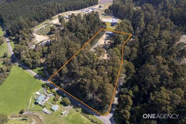 Residential Block For Sale - TAS - Wynyard - 7325 - 5 Acres, 5 Minutes From Town!  (Image 2)