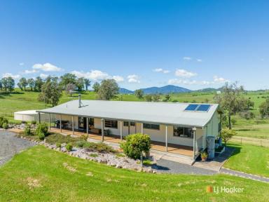 House Sold - NSW - Verona - 2550 - FANTASTIC HOBBY FARM  (Image 2)