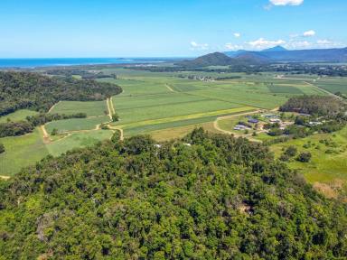 House Sold - QLD - Mossman - 4873 - I'M ON TOP OF THE WORD, HEY!  TWO HOMES, AMAZING VIEWS  (Image 2)