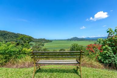 House Sold - QLD - Mossman - 4873 - I'M ON TOP OF THE WORD, HEY!  TWO HOMES, AMAZING VIEWS  (Image 2)