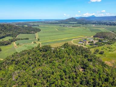 House For Sale - QLD - Mossman - 4873 - I'M ON TOP OF THE WORD, HEY!  TWO HOMES, AMAZING VIEWS  (Image 2)