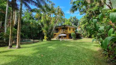 House Sold - QLD - Degarra - 4895 - Tropical Oasis  (Image 2)