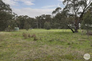 Residential Block Sold - VIC - Haddon - 3351 - Build Your Dream Home, Haddon Acreage  (Image 2)