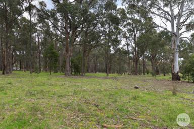Residential Block Sold - VIC - Haddon - 3351 - Build Your Dream Home, Haddon Acreage  (Image 2)