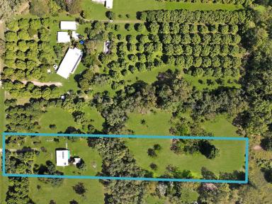 House For Sale - QLD - Alligator Creek - 4816 - Attention Tradies and Home Renovators. Do you want the Acreage Dream? - Home on a rare 2.5 acres in Alligator Creek  (Image 2)