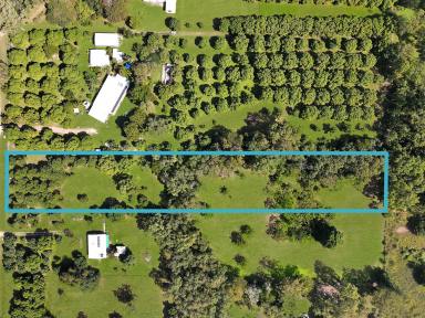 Residential Block For Sale - QLD - Alligator Creek - 4816 - Acreage Opportunity - Vacant 2.5 acres in Alligator Creek  (Image 2)