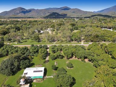 Residential Block For Sale - QLD - Alligator Creek - 4816 - Acreage Opportunity - Vacant 2.5 acres in Alligator Creek  (Image 2)