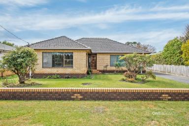 House For Sale - TAS - Smithton - 7330 - This One Suits All!  (Image 2)