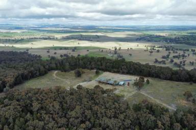 Lifestyle For Sale - NSW - Boorowa - 2586 - 290ACRES* LIFESTYLE ESCAPE & COMMERCIAL QUARTZITE QUARRY  (Image 2)