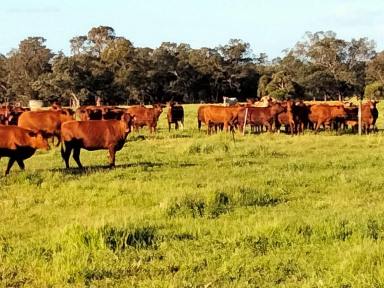 Other (Rural) For Sale - WA - Muchea - 6501 - Prime Land with Rail, and Highway Frontage, Water Licence, 3 phase Power & Infrastructure (Image 2)