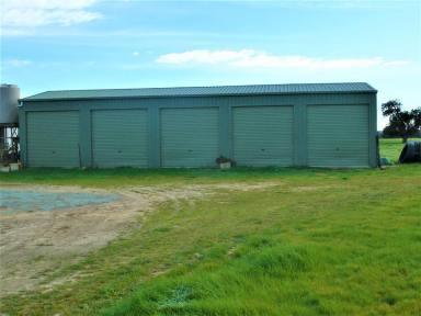 Other (Rural) For Sale - WA - Muchea - 6501 - LOCATION - LOCATION - Irrigation - Grazing - Unique Railway facility  (Image 2)