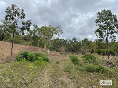 Residential Block For Sale - QLD - Alligator Creek - 4816 - LARGE ACREAGE BLOCK 15 MINS TO CITY  (Image 2)