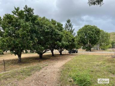 Residential Block For Sale - QLD - Alligator Creek - 4816 - LARGE ACREAGE BLOCK 15 MINS TO CITY  (Image 2)