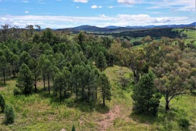 Residential Block For Sale - NSW - Quirindi - 2343 - QUIET LOCATION, PICTUREQUES VIEWS & 3.1 ACRES  (Image 2)