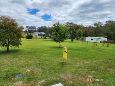 Residential Block For Sale - NSW - Kalaru - 2550 - ENDLESS POSSIBILITIES  (Image 2)