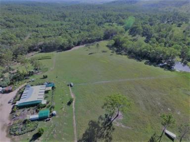 Business For Sale - QLD - Moolboolaman - 4671 - NATURES ENGINEERING WONDER PLANT  (Image 2)