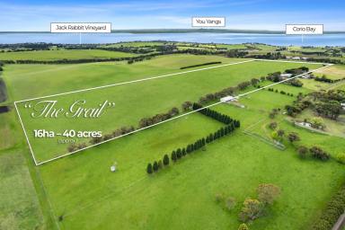 Livestock For Sale - VIC - Bellarine - 3223 - An unequalled rural lifestyle opportunity with 360° panoramic views  (Image 2)