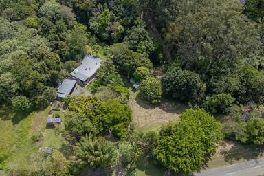 House Leased - QLD - Kin Kin - 4571 - Peaceful surrounds  (Image 2)