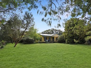 Lifestyle For Sale - VIC - Gorae West - 3305 - Spread Your Wings!  (Image 2)