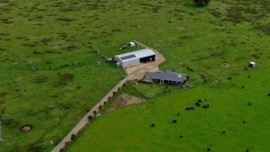 Mixed Farming For Sale - VIC - Eagle Point - 3878 - Room to move  (Image 2)