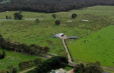 Mixed Farming For Sale - VIC - Eagle Point - 3878 - Room to move  (Image 2)