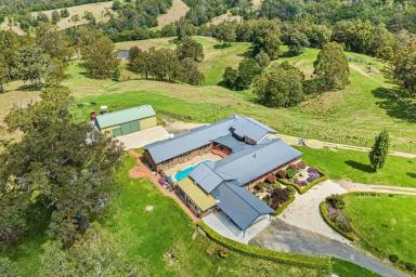 Livestock Sold - NSW - Brogo - 2550 - Valley View - Convenient Location - 10 kms to Princes Highway  (Image 2)