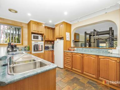 House For Lease - TAS - Ambleside - 7310 - Five Bedrooms  (Image 2)