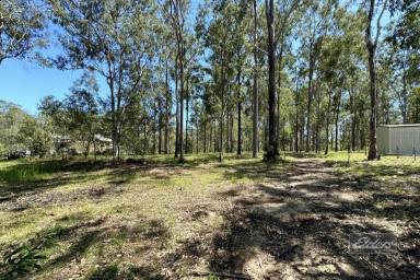 Residential Block Sold - QLD - Bauple - 4650 - PEACEFUL SURROUNDS WITH LARGE NATIVES GALORE!  (Image 2)