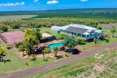 Horticulture For Sale - QLD - Horton - 4660 - WE HAVE A VERY RARE OPPORTUNITY THAT YOU CANNOT MISS  (Image 2)