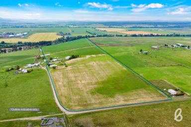 Other (Rural) For Sale - NSW - Singleton - 2330 - HIGHLY FERTILE IRRIGATION COUNTRY | RIVER FRONTAGE | 55.7 ACRES  (Image 2)