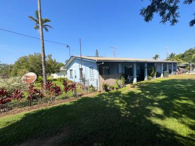 Duplex/Semi-detached Sold - QLD - Dimbulah - 4872 - Duplex with potential for Owner Occupant and Income Production  (Image 2)