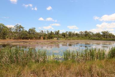 Horticulture For Sale - QLD - Gregory River - 4660 - 231 ACRES OF CULTIVATION WITH 3 WATER SOURCES  (Image 2)