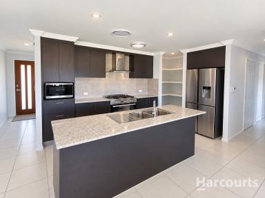 House For Lease - QLD - Innes Park - 4670 - Modern Coastal Living Just Moments from the Beach!  (Image 2)