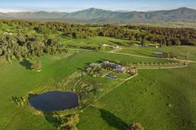 Acreage/Semi-rural For Sale - VIC - Mansfield - 3722 - World class views - fall in love with the lifestyle  (Image 2)