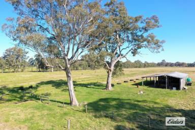 Other (Rural) For Sale - VIC - Bushy Park - 3860 - Amongst the gum trees...  (Image 2)